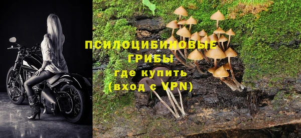 прущая мука Богородицк