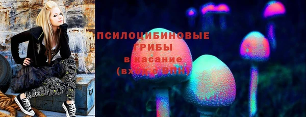прущая мука Богородицк